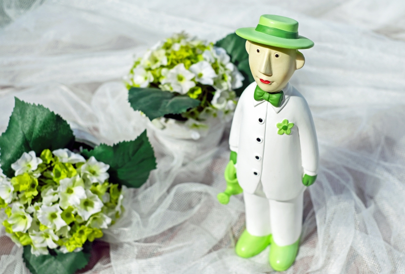 vente-ST CYR SUR MER-min_man-person-flower-green-toy-fig-546529-pxhere.com